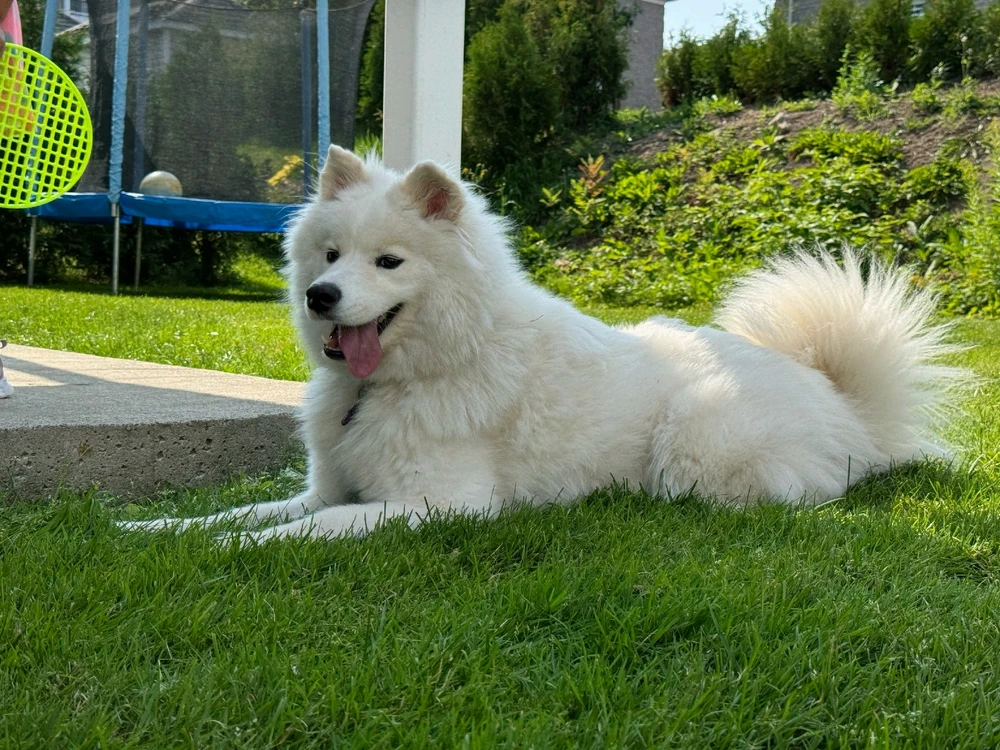 Image uploaded by Jonathan