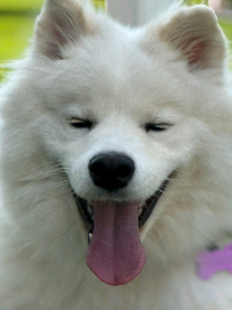 Image uploaded by Jonathan