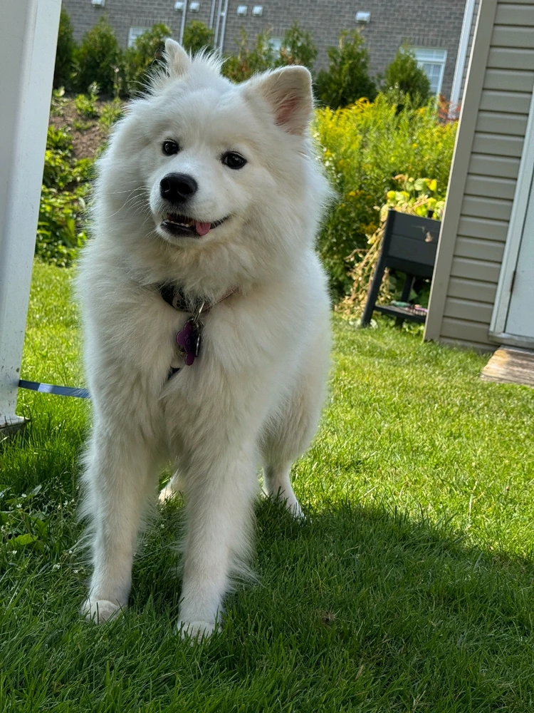 Image uploaded by Jonathan