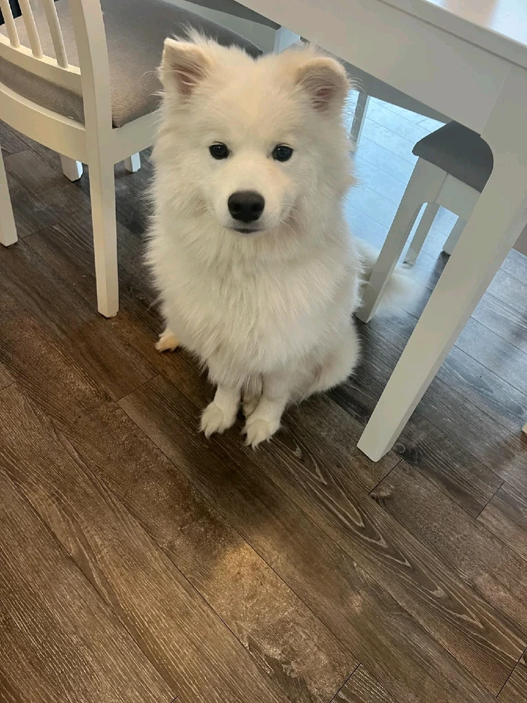 Image uploaded by Jonathan