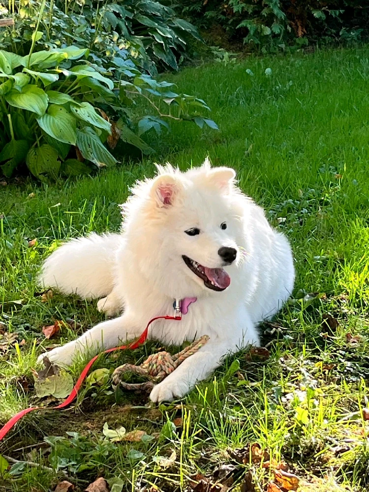 Image uploaded by Jonathan