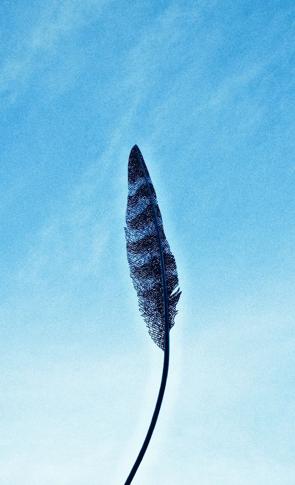 Image uploaded by Ben