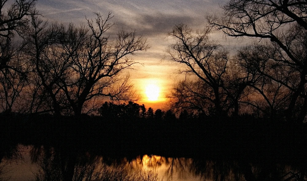 Image uploaded by Ben