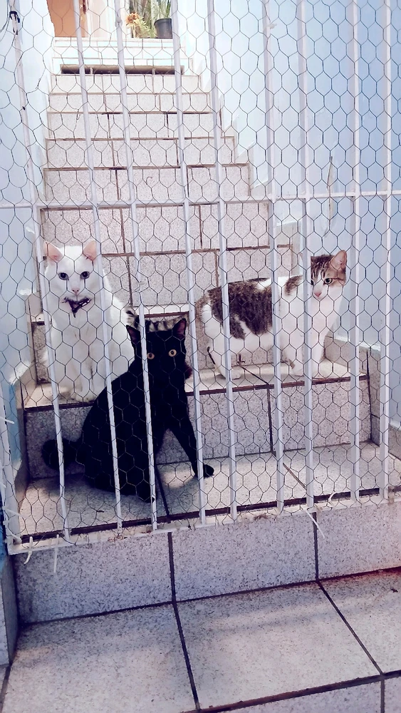 GIF enviado por Paula Kristine