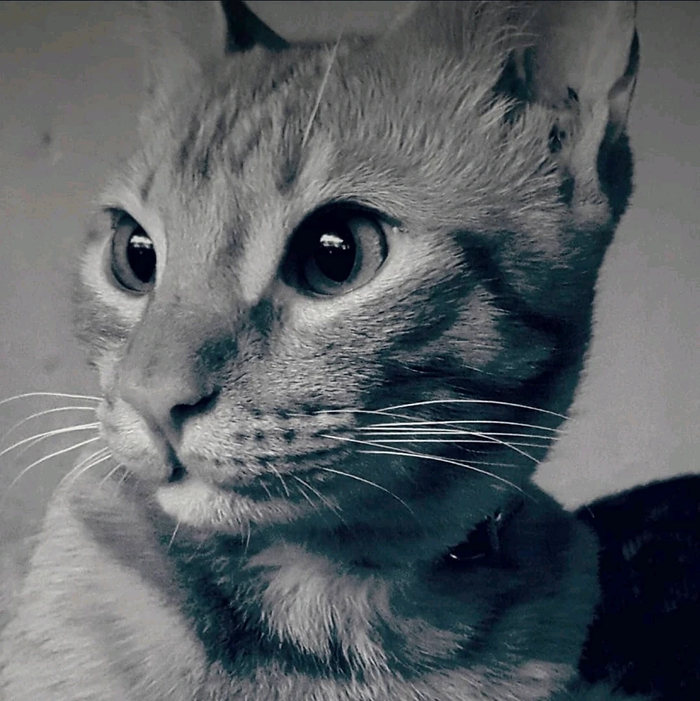 GIF subido por Raúl