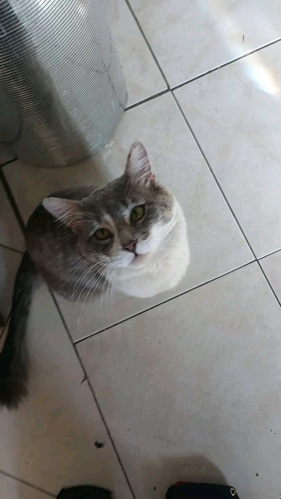 GIF uploaded by Lilahh