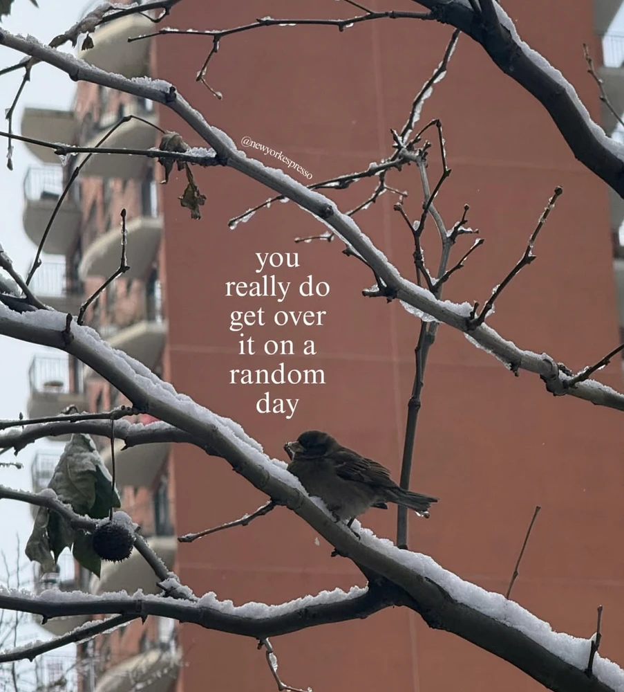 GIF uploaded by Ayer