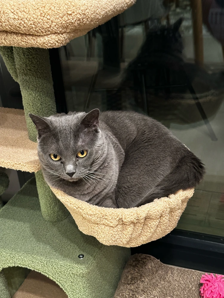 GIF ajouté par Romain