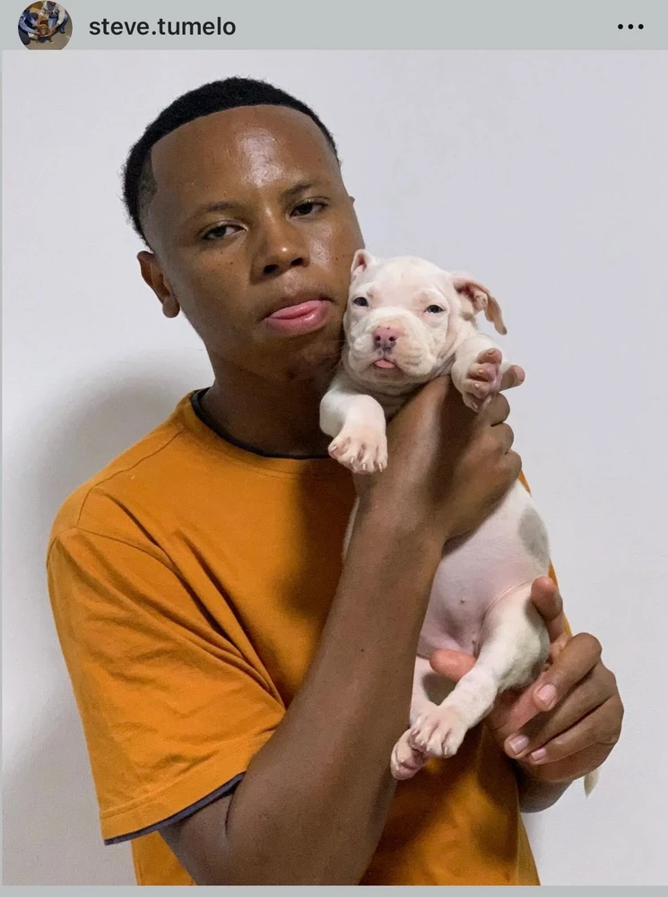 Pet love