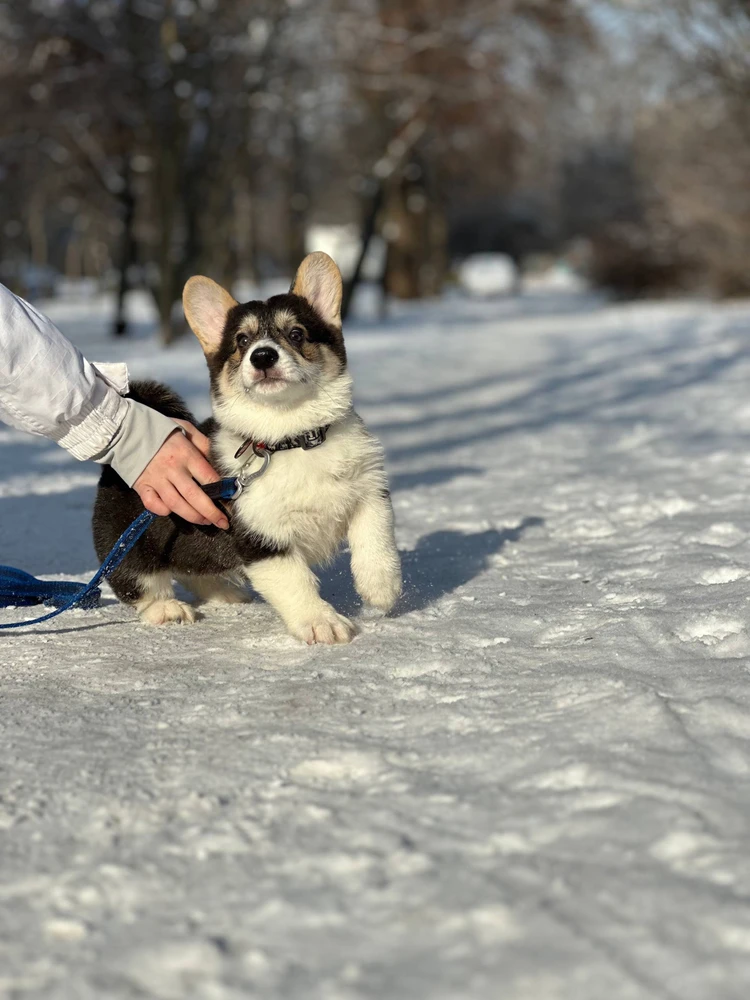 Зображення завантажив Олена