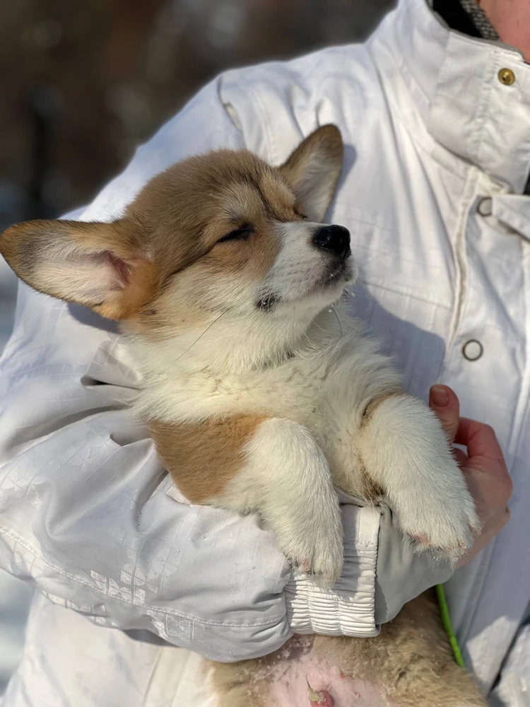 Зображення завантажив Олена