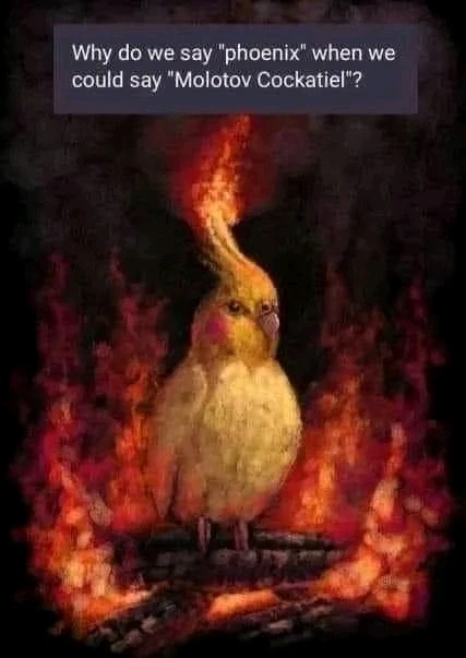 GIF uploaded by David Gilboa