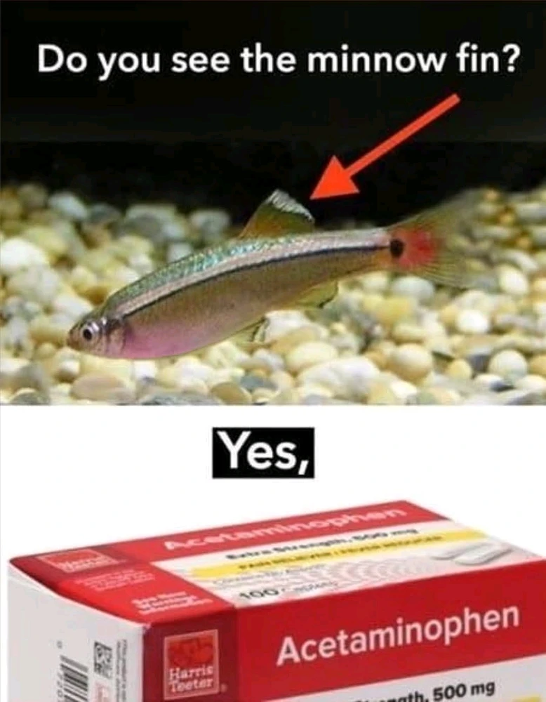 GIF uploaded by Kandace