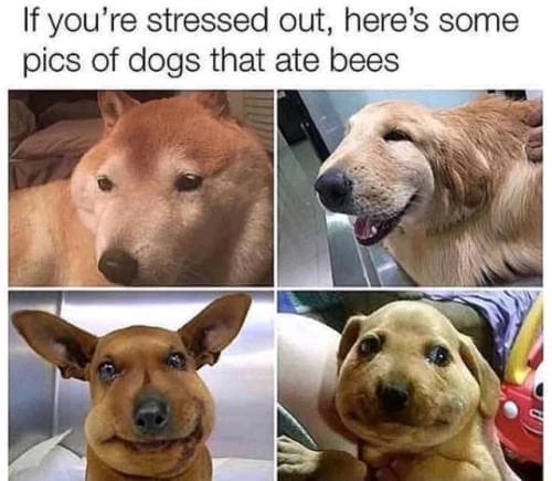 GIF uploaded by ⵃчრյⵉλ