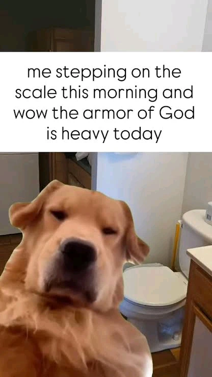 GIF uploaded by ⵃчრյⵉλ