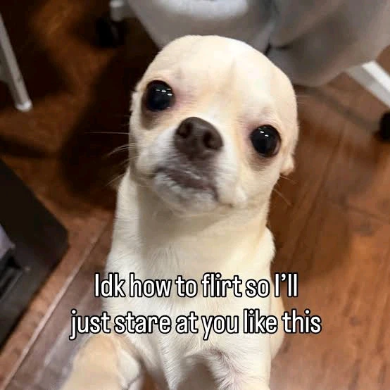 GIF uploaded by ⵃчრյⵉλ