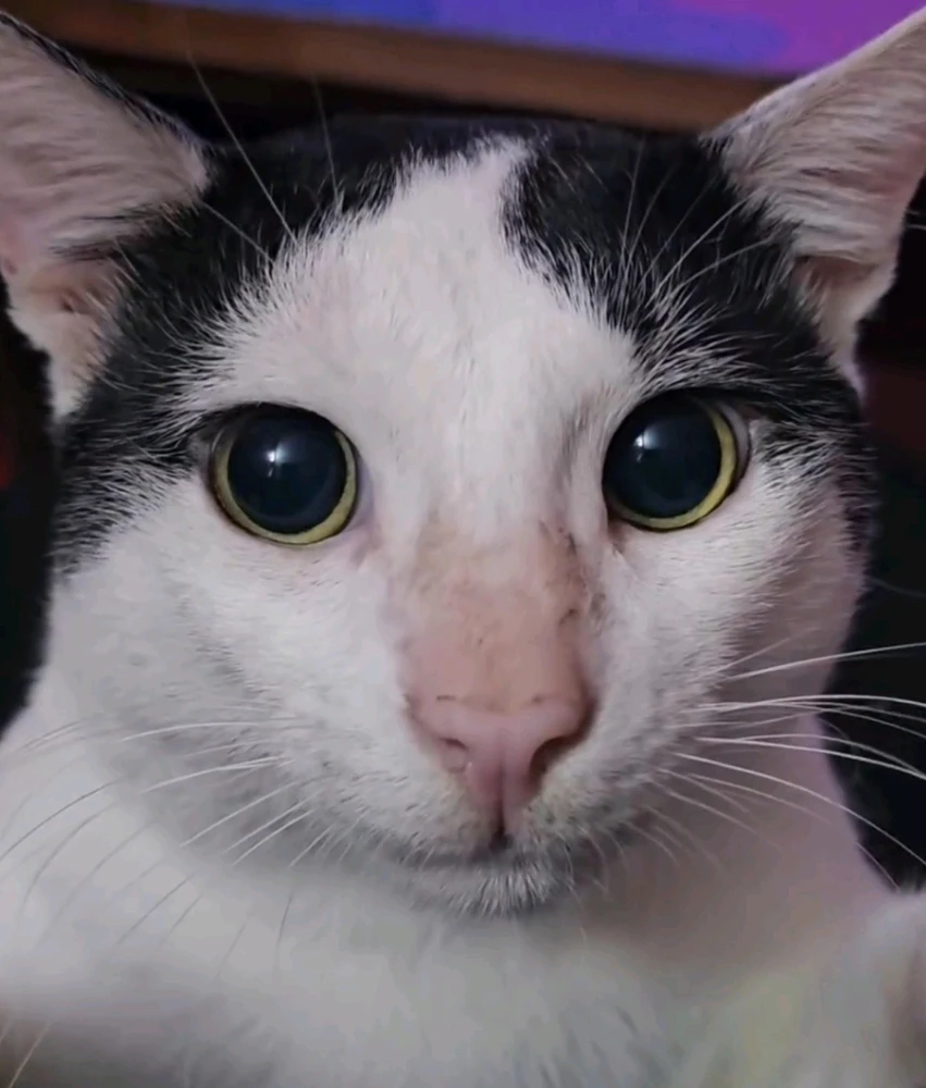 Image uploaded by Muks_Z