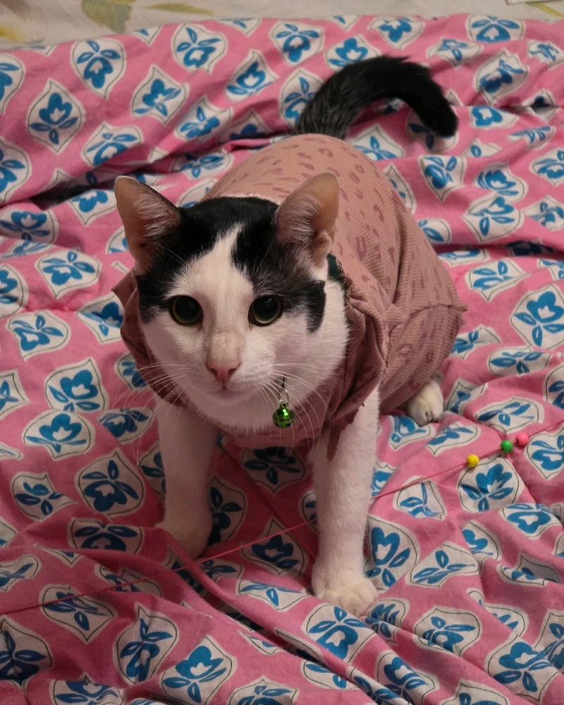 Image uploaded by Muks_Z