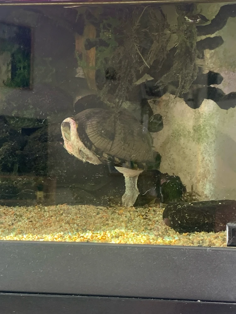 GIF ajouté par Benoît