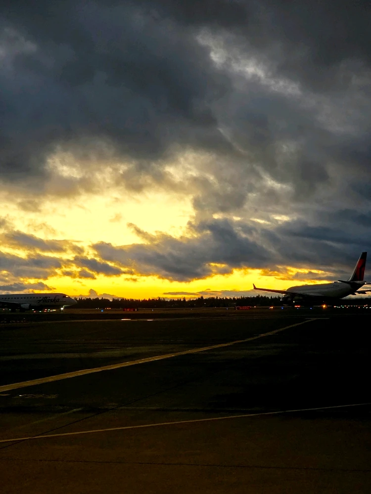 Image uploaded by Thomas