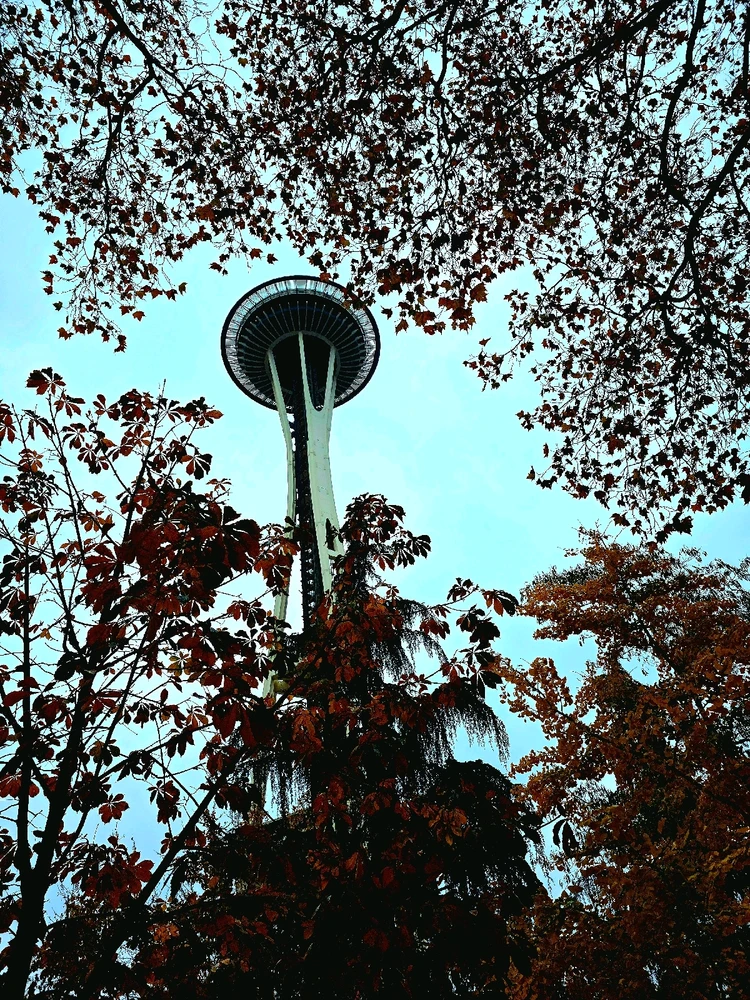 Image uploaded by Thomas