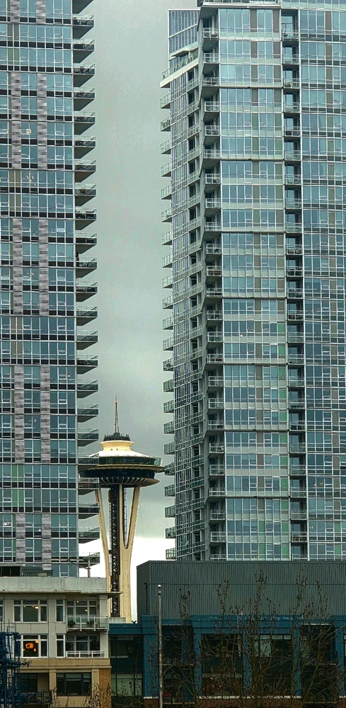 Image uploaded by Thomas