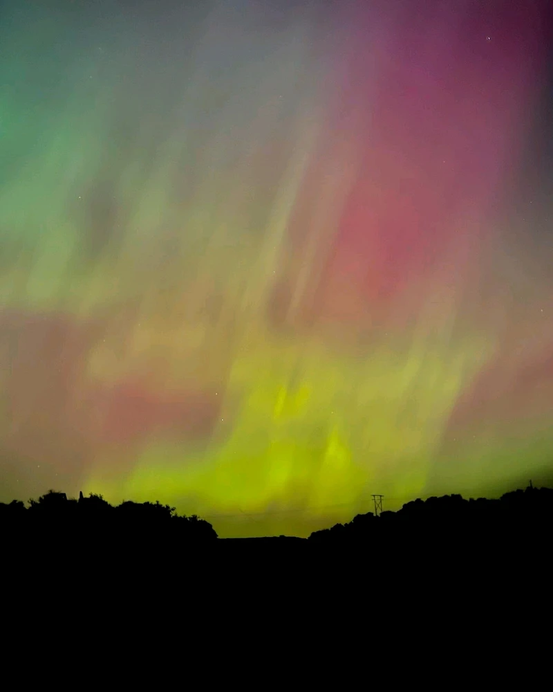 Image uploaded by Thomas