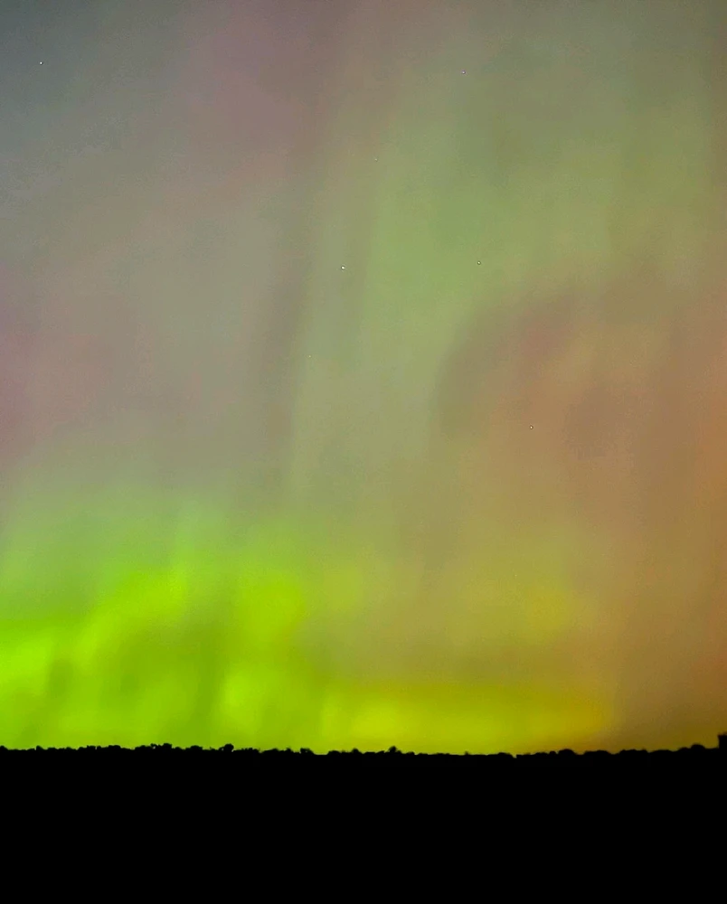 Image uploaded by Thomas