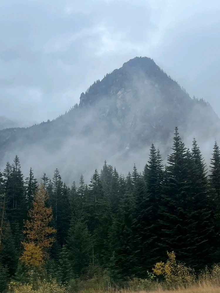 Image uploaded by Thomas