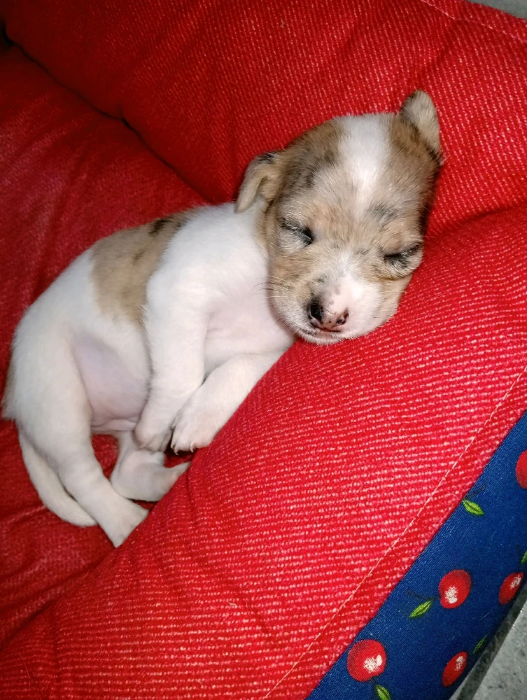 GIF uploaded by Jemima