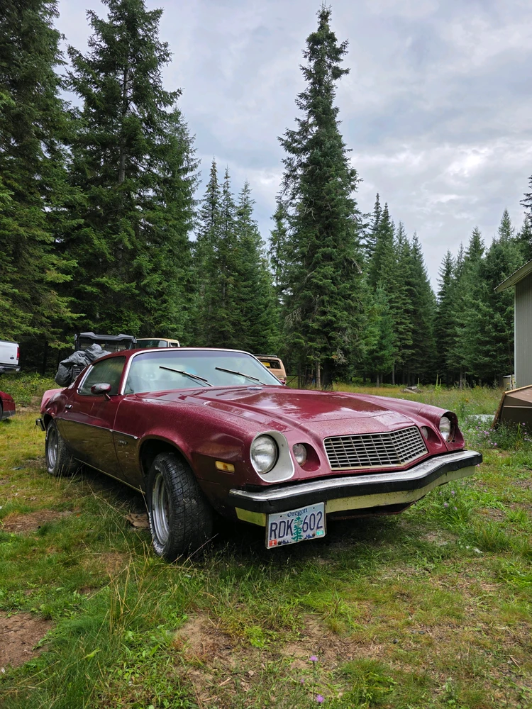 GIF uploaded by Thomas