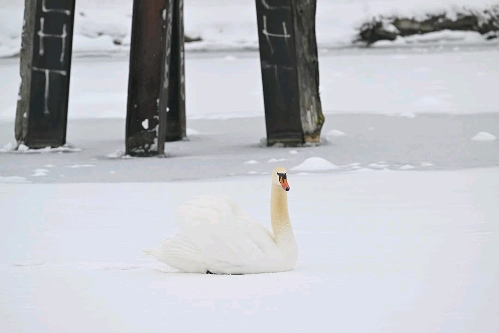Immagine caricata da Enrico