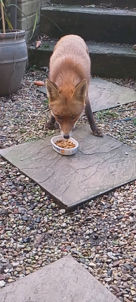 GIF uploaded by Lucas