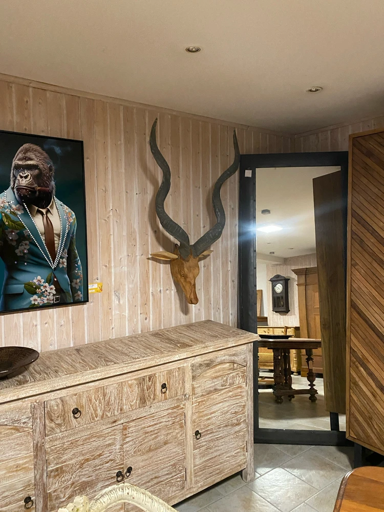 Image uploaded by Mozhdeh