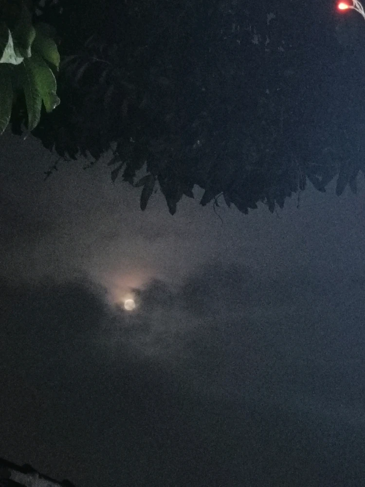 Image uploaded by Rie