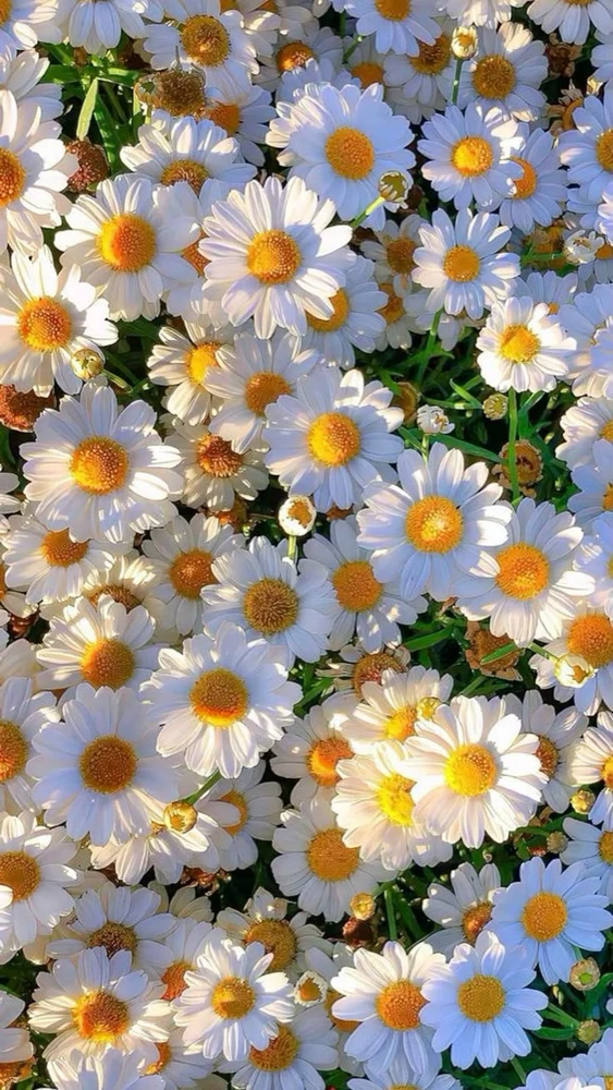 GIF uploaded by Kan
