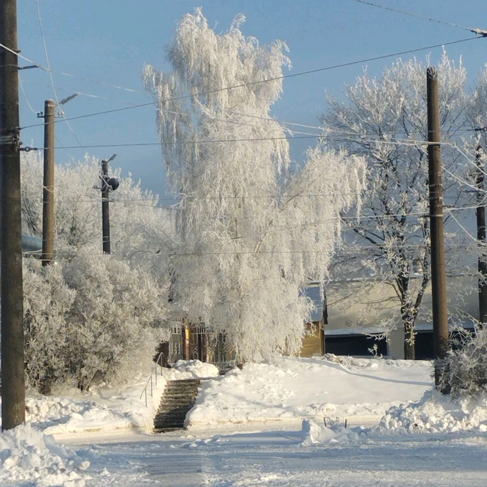Фото загрузил Диана