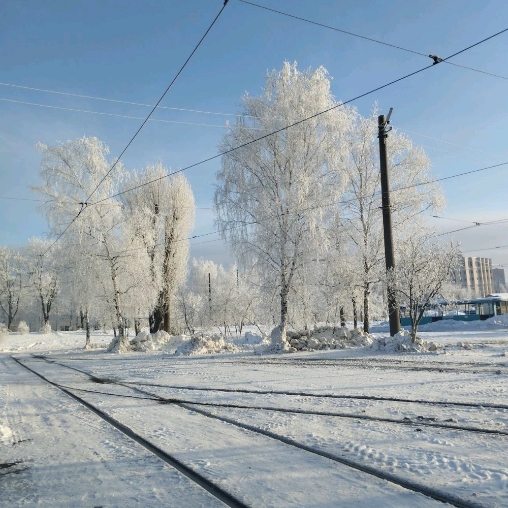 Фото загрузил Диана