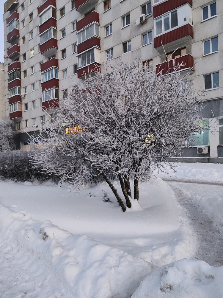 Фото загрузил Диана