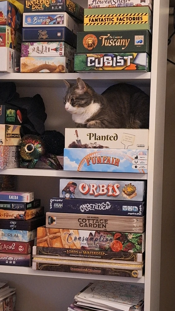 Image uploaded by Alaira