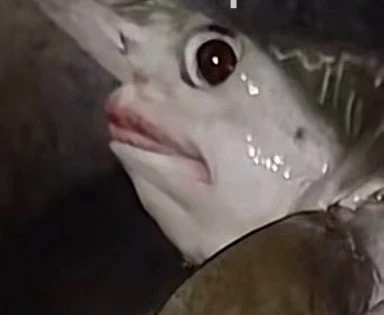 GIF uploaded by Zera