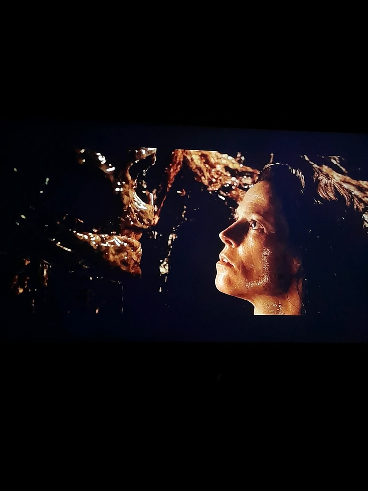 GIF subido por Tomás