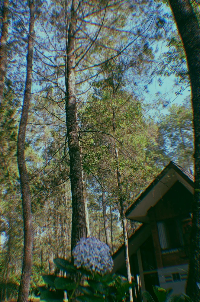 GIF uploaded by Restu