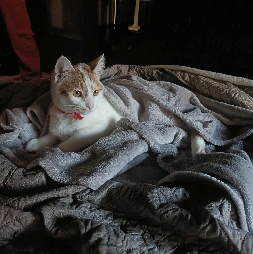 GIF caricata da Veronica