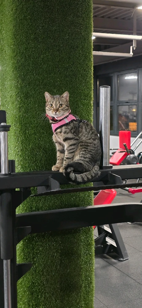 GIF uploaded by СКУМА