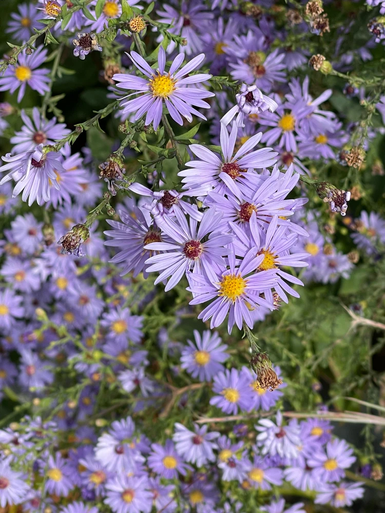 Image uploaded by Bryan