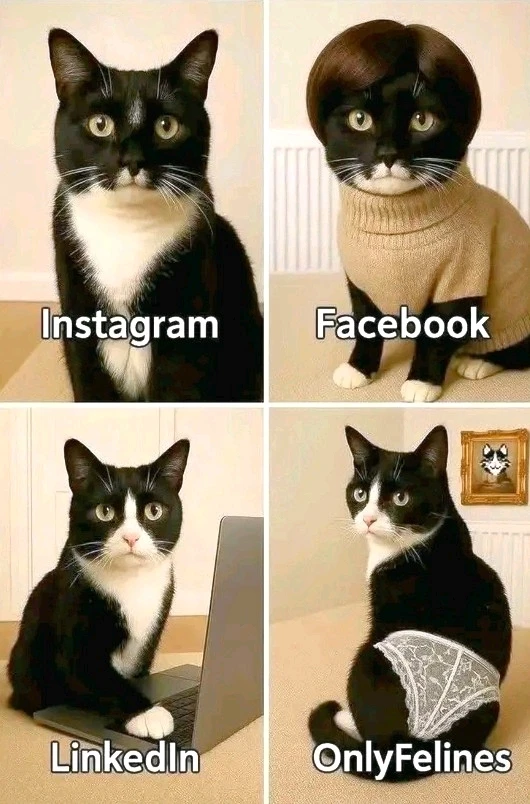 GIF uploaded by Farsheed 🧿