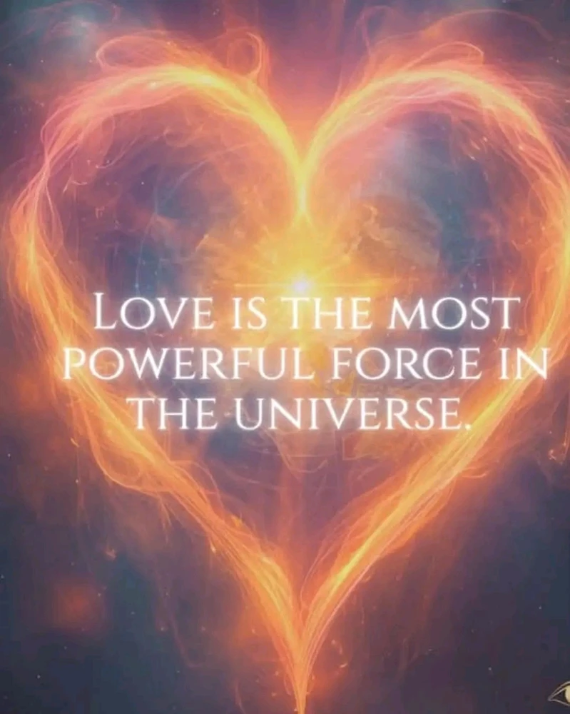 GIF uploaded by ❤ Sophia aka Mango Mami ❤️