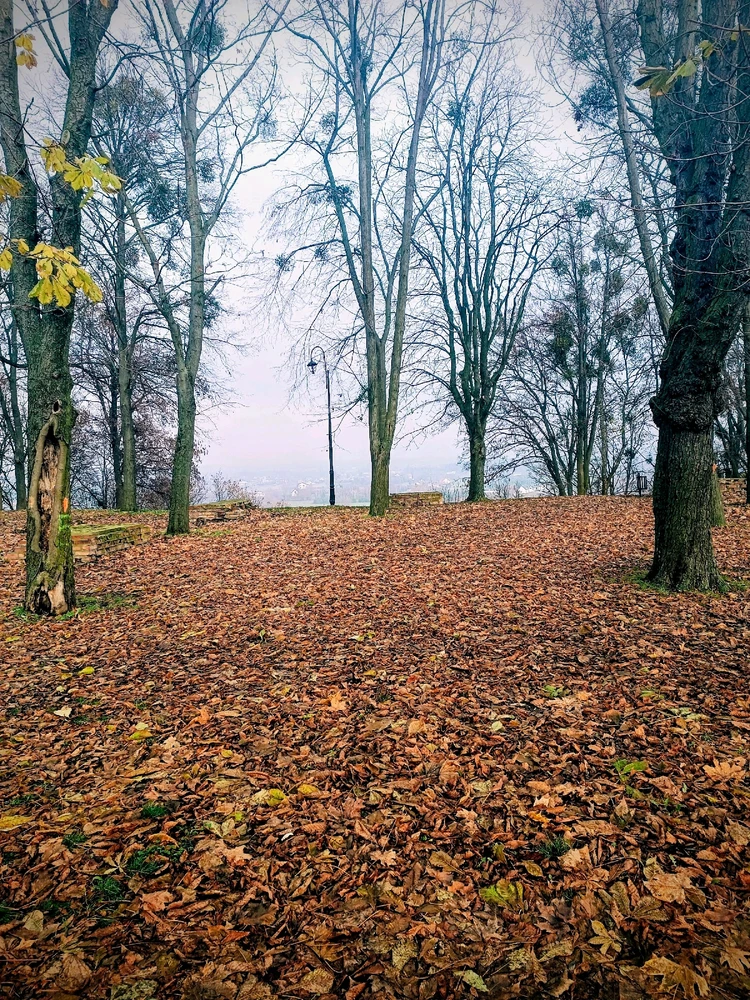 GIF dodany przez Ula