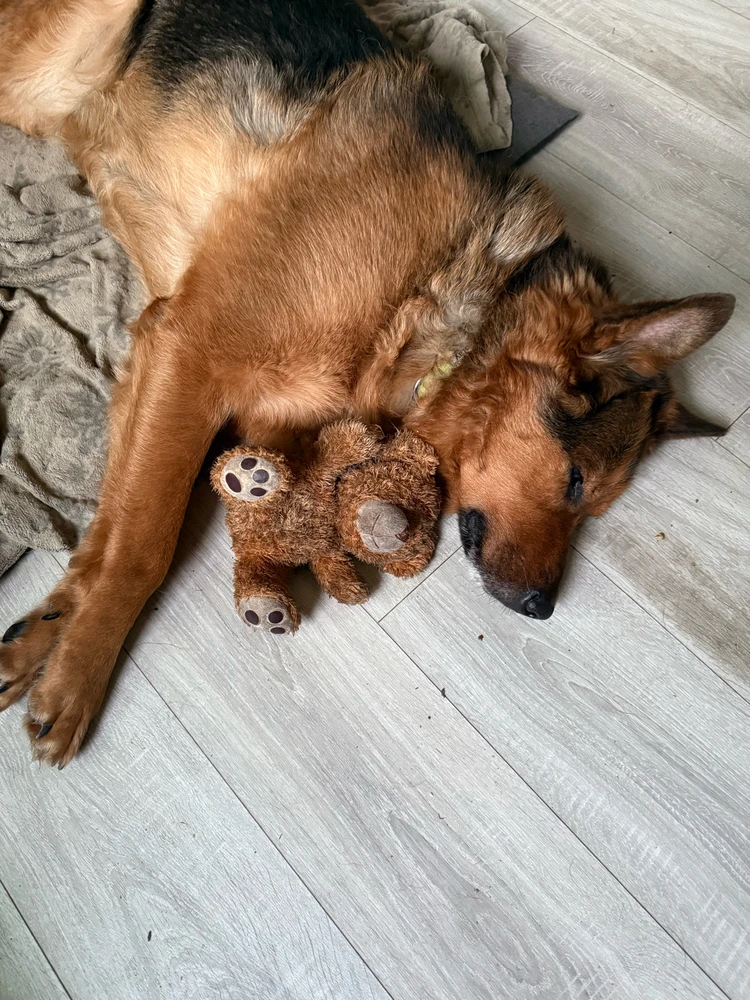 GIF dodany przez Inuita